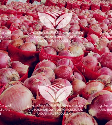 WhatsApp Image 2023-09-27 at 2.28.08 PM